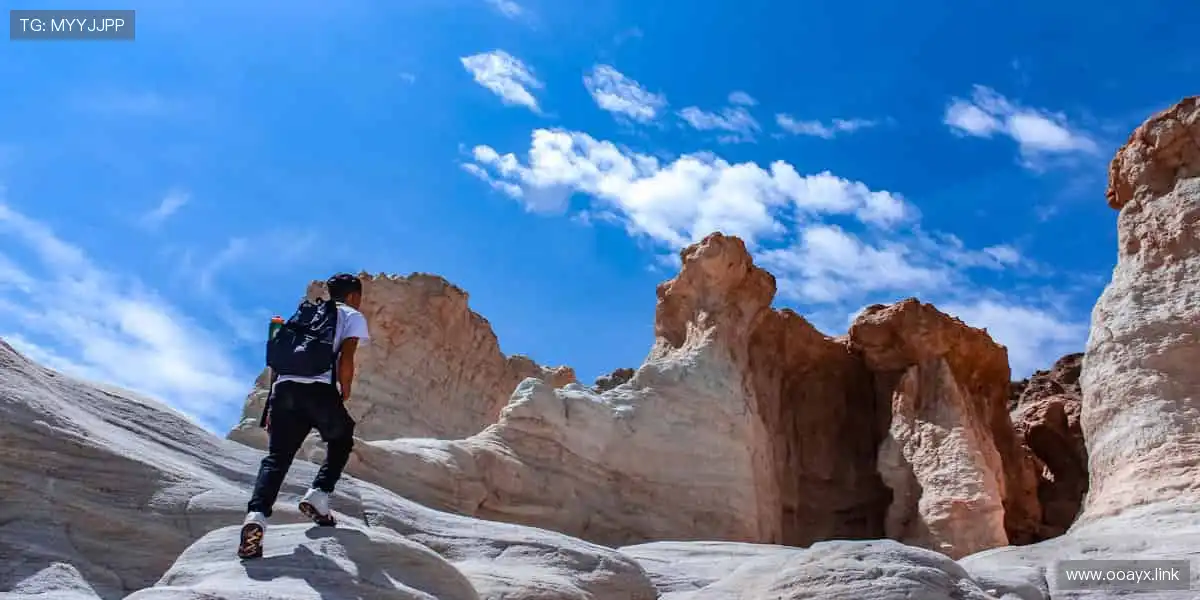 🏀【空中对决】热血扣篮，点燃你的篮球魂！